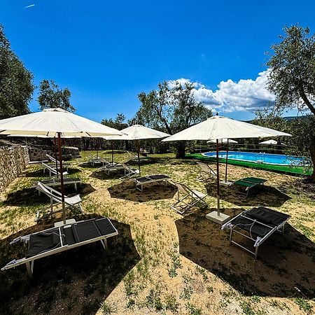 Valle Degli Ulivi B&B Vieste Bagian luar foto