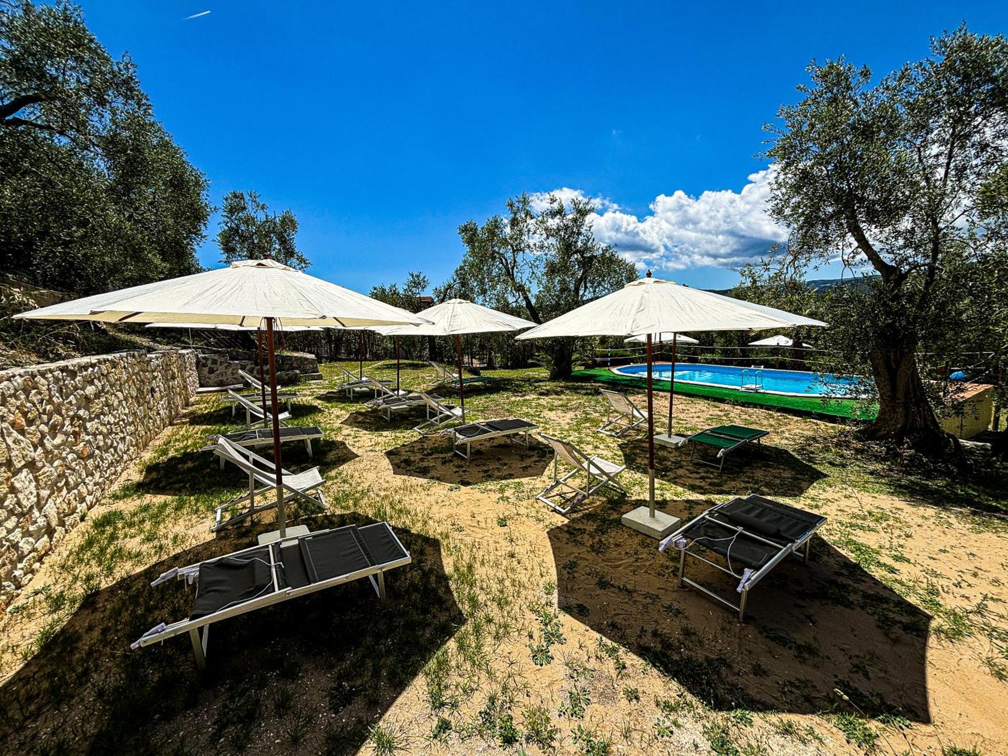 Valle Degli Ulivi B&B Vieste Bagian luar foto